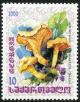 Colnect-4445-031-Cantharellus-Cibarius.jpg