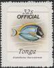 Colnect-4501-346-Acanthurus-leucosternon.jpg