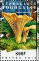 Colnect-4882-543-Cantharellus-cibarius.jpg