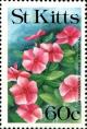 Colnect-5918-043-Catharanthus-roseus.jpg