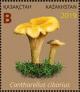 Colnect-6282-266-Cantharellus-cibarius.jpg