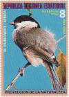 Colnect-1143-302-Marsh-Tit-Poecile-palustris.jpg