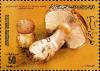 Colnect-2049-595-Cortinarius-herculeus.jpg