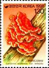 Colnect-2775-079-Laetiporus-sulphureus.jpg