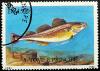 Colnect-2821-712-Atlantic-Cod-Gadus-morhua.jpg