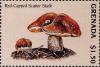 Colnect-3065-148-Leccinum-aurantiacum-Red-capped-scaber-stalk.jpg