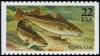 Colnect-4840-183-Atlantic-Cod-Gadus-morhua.jpg