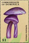 Colnect-3037-963-Cortinarius-violaceus.jpg