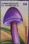 Colnect-3226-452-Cortinarius-violaceus.jpg