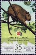 Colnect-3510-778-Cabrera--s-Hutia-Mesocapromys-angelcabrera.jpg