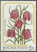 Colnect-604-449-Fritillaria-meleagris.jpg