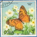 Colnect-671-123-Mexican-Fritillary-Euptoieta-hegesia.jpg