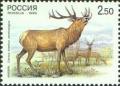 Colnect-781-278-Manchurian-Wapiti-Cervus-elaphus-xanthopygus.jpg