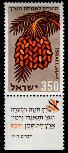 Stamp_of_Israel_-_Festivals_5720_-_350mil.jpg