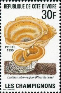 Colnect-2025-582-Lentinus-tuber-regium.jpg