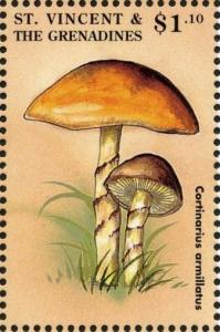 Colnect-1764-307-Cortinarius-armillatus.jpg