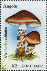 Colnect-2979-955-Cortinarius-collinitus.jpg