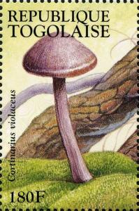 Colnect-3237-864-Cortinarius-violaceus.jpg