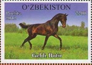 Colnect-1308-516--Geldi-Botir--Equus-ferus-caballus.jpg