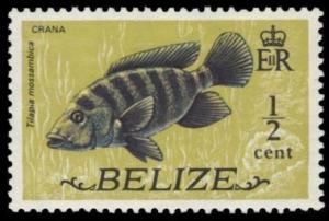 Colnect-1357-673-Mozambique-Tilapia-Tilapia-mossambica.jpg