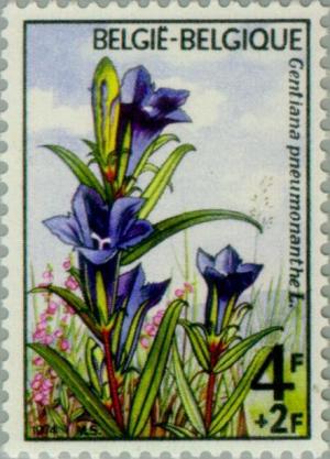 Colnect-185-314-Gentiana-pneumonathe.jpg