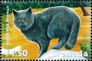 Colnect-4611-862-British-Blue-Shorthair.jpg