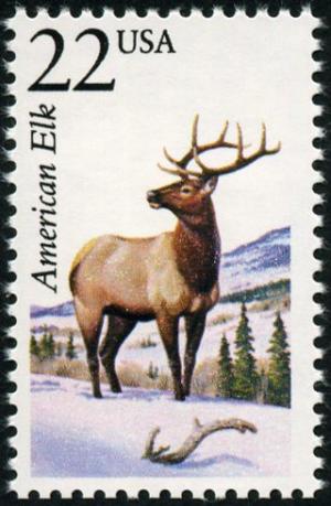 Colnect-5091-124-Wapiti-Cervus-canadensis.jpg