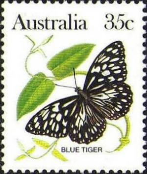 Colnect-725-297-Blue-Tiger-Danaus-hamata.jpg