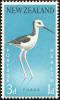 Colnect-735-508-White-headed-Stilt-Himantopus-leucocephalus.jpg