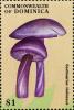 Colnect-3037-963-Cortinarius-violaceus.jpg