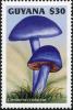 Colnect-3107-480-Cortinarius-violaceus.jpg