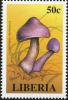 Colnect-3120-039-Cortinarius-violasceus.jpg