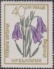 Colnect-1469-159-Fritillaria-stribrnyi.jpg