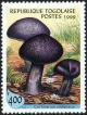 Colnect-3264-051-Cortinarius-violaceus.jpg