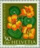 Colnect-140-110-Nasturtium-Tropaeolum-majus.jpg