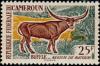 Colnect-1106-484-Watussi-Cattle-Bos-primigenius-taurus.jpg