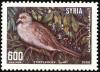 Colnect-1650-756-European-Turtle-Dove-Streptopelia-turtur.jpg