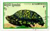 Colnect-2027-210-Eastern-Box-Turtle-Terrapene-carolina-carolina.jpg