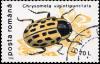 Colnect-3578-785-Willow-Leaf-Beetle-Chrysomela-vigintipunctata.jpg