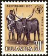 Colnect-4257-152-Ankole-Cattle-Bos-primigenius-taurus.jpg