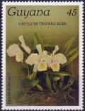 Colnect-3894-916-Cattleya-trianae-alba.jpg