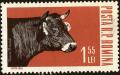 Colnect-4450-810-Female-Cattle-Bos-primigenius-taurus.jpg