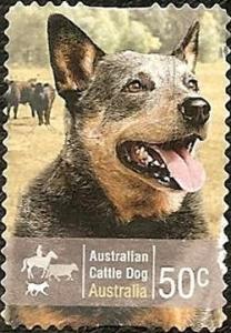 Colnect-1080-645-Australian-Cattle-Dog-Canis-lupus-familiaris.jpg