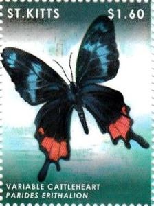 Colnect-3483-476-ariable-Cattleheart-Parides-erithalion.jpg