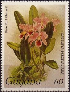 Colnect-3977-384-Cattleya-percivaliana.jpg