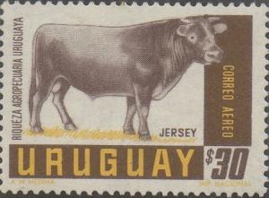 Colnect-1112-221-Jersey-Cattle-Bos-primigenius-taurus.jpg