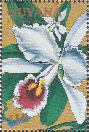 Colnect-1667-379-Cattleya-percivaliana.jpg