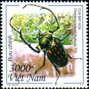 Colnect-2926-007-Scarab-Beetle-Cheirotonus-battarelli.jpg