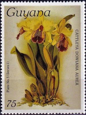 Colnect-3992-729-Cattleya-dowiana-aurea.jpg