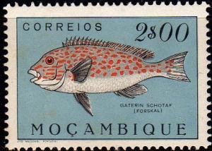 Colnect-594-965-Ministrel-Sweetlips-Plectorhinchus-schotaf.jpg